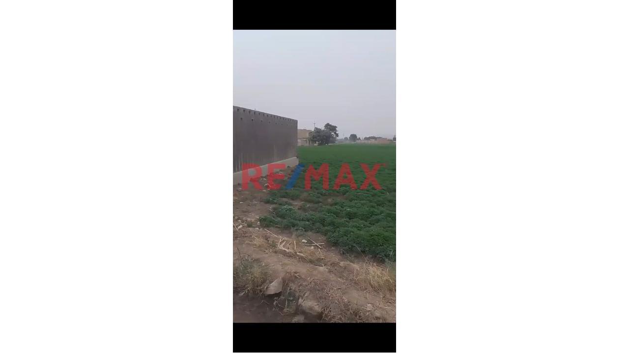 Terreno En Venta – Punchauca, Caudevilla