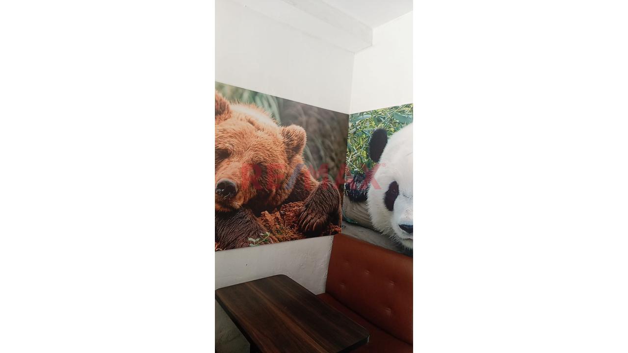 ✨ ¡Traspaso De Local Comercial En Excelente Ubicación Turística! ✨ — foto 11
