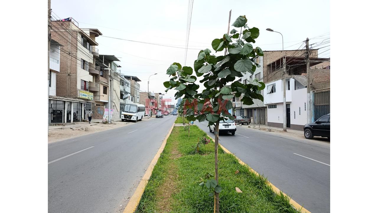 Haz Despegar Tu Negocio En El Mejor Lugar Estratégico De San Juan De Miraflores! 🚀 - 4