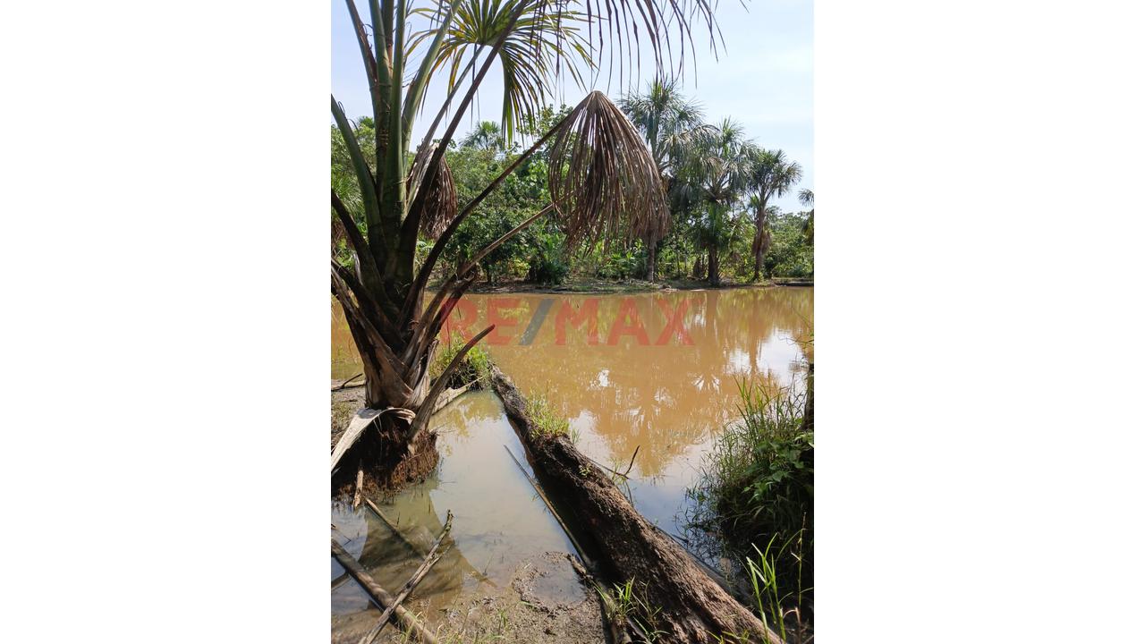 “¡Oportunidad De Inversión! 9.75 Ha Con Quebrada Natural En Iquitos–Nauta” - 10