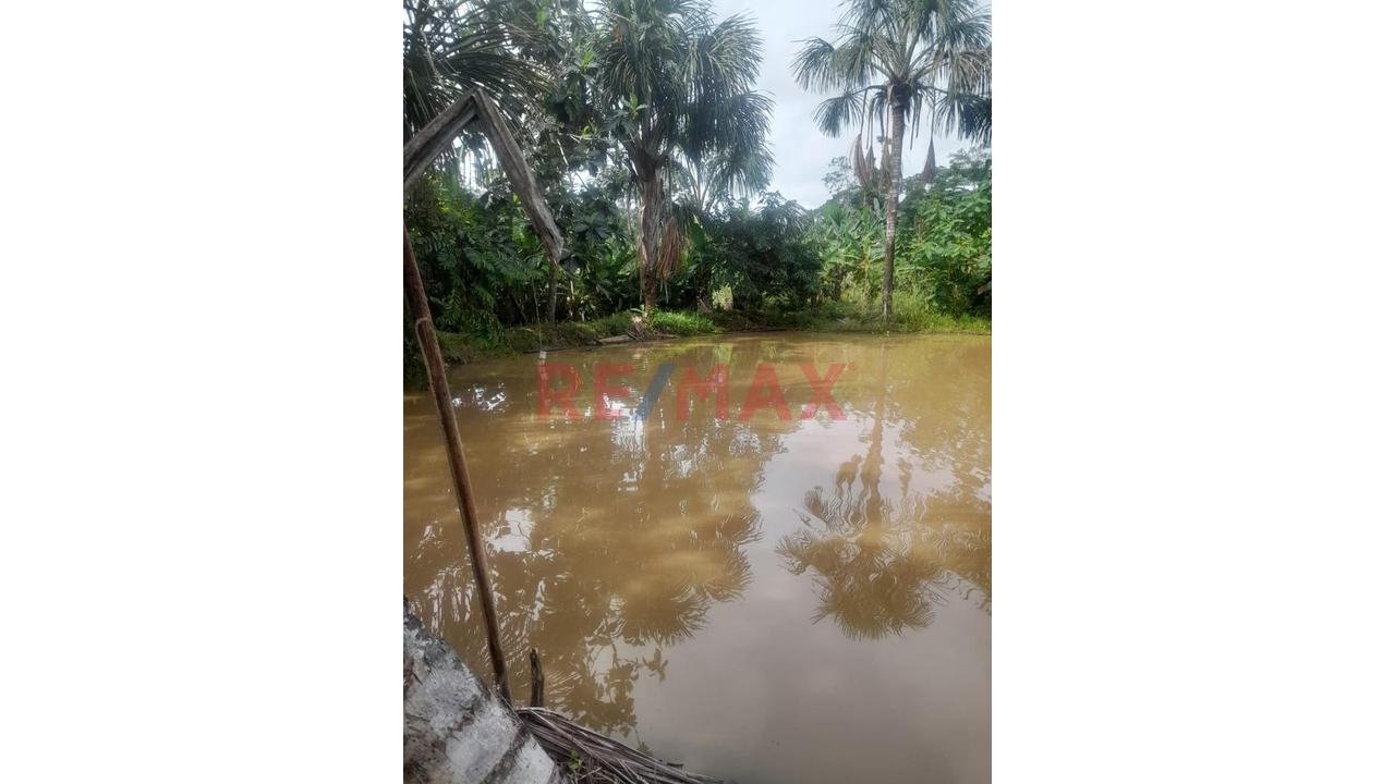 “¡Oportunidad De Inversión! 9.75 Ha Con Quebrada Natural En Iquitos–Nauta” - 13