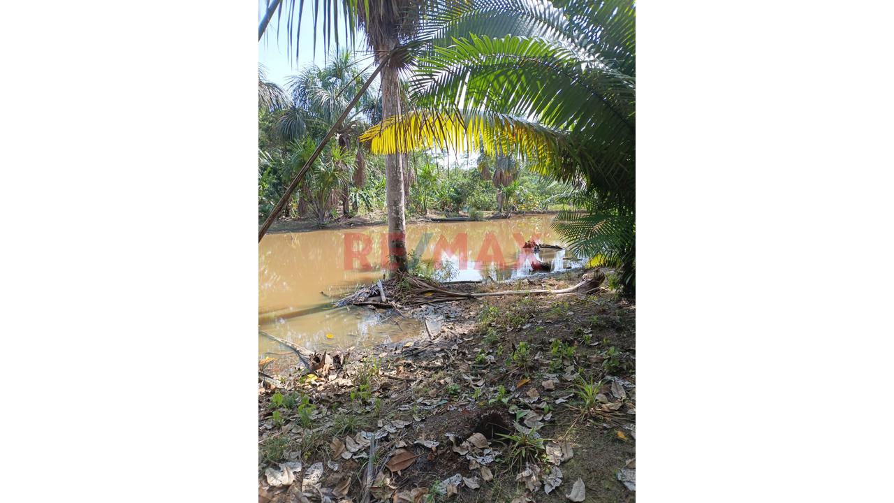 “¡Oportunidad De Inversión! 9.75 Ha Con Quebrada Natural En Iquitos–Nauta” - 17