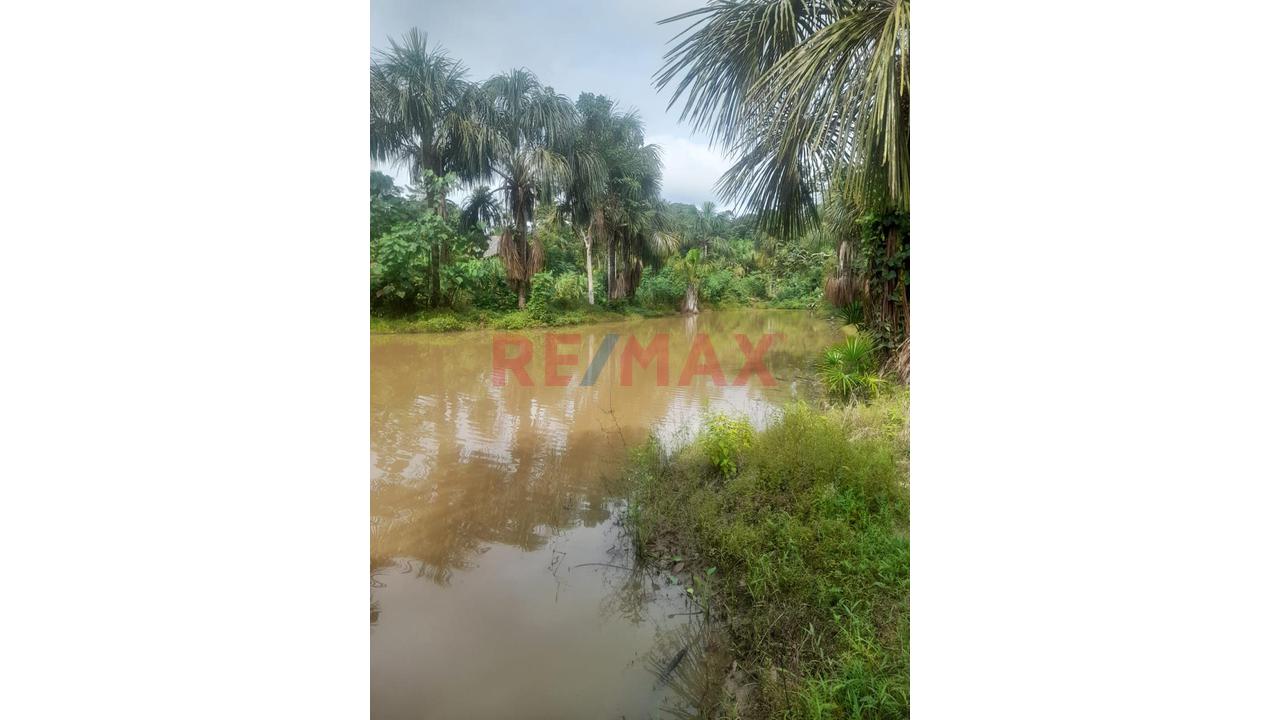“¡Oportunidad De Inversión! 9.75 Ha Con Quebrada Natural En Iquitos–Nauta” - 6