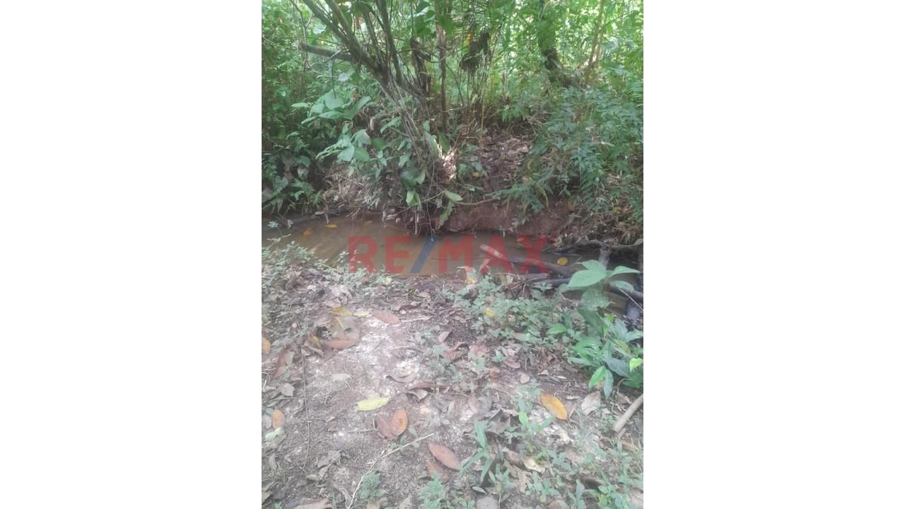 “¡Oportunidad De Inversión! 9.75 Ha Con Quebrada Natural En Iquitos–Nauta” - 5