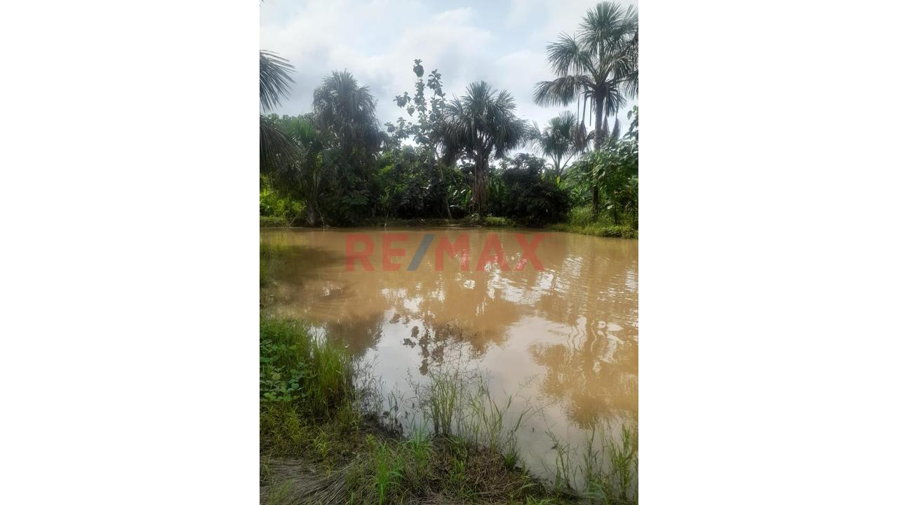 “¡Oportunidad De Inversión! 9.75 Ha Con Quebrada Natural En Iquitos–Nauta” - 2