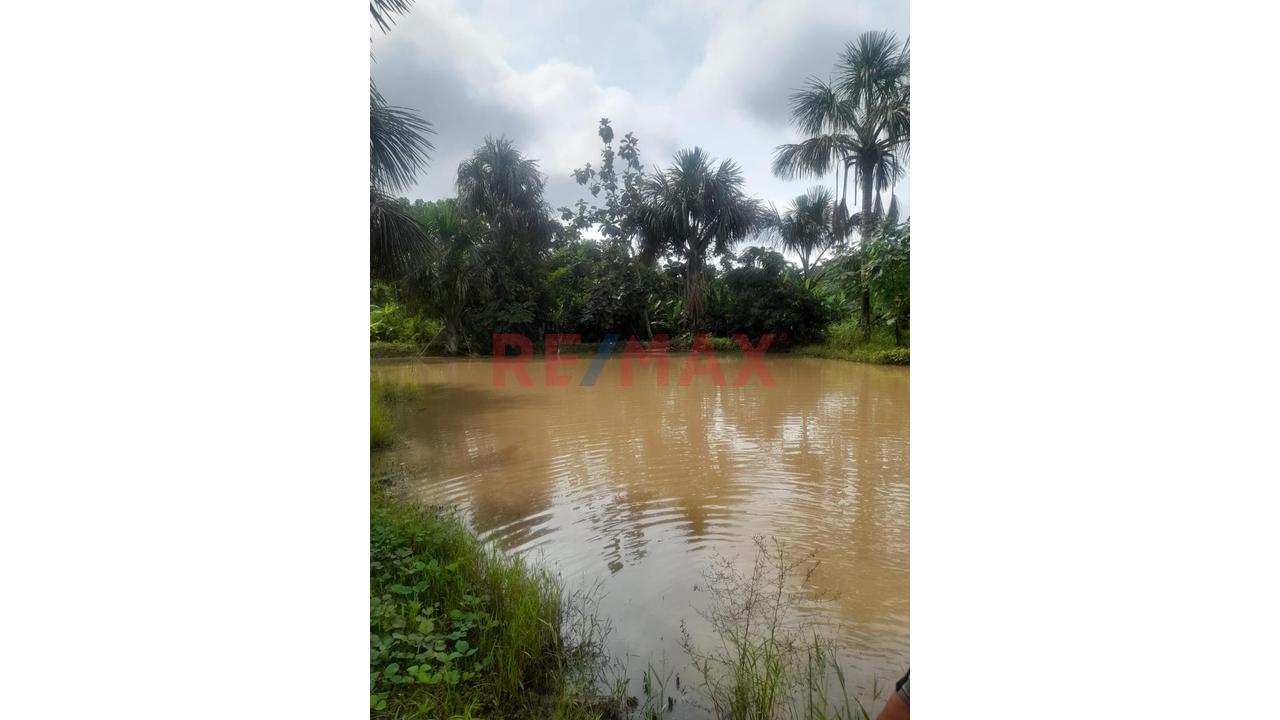 “¡Oportunidad De Inversión! 9.75 Ha Con Quebrada Natural En Iquitos–Nauta” - 8