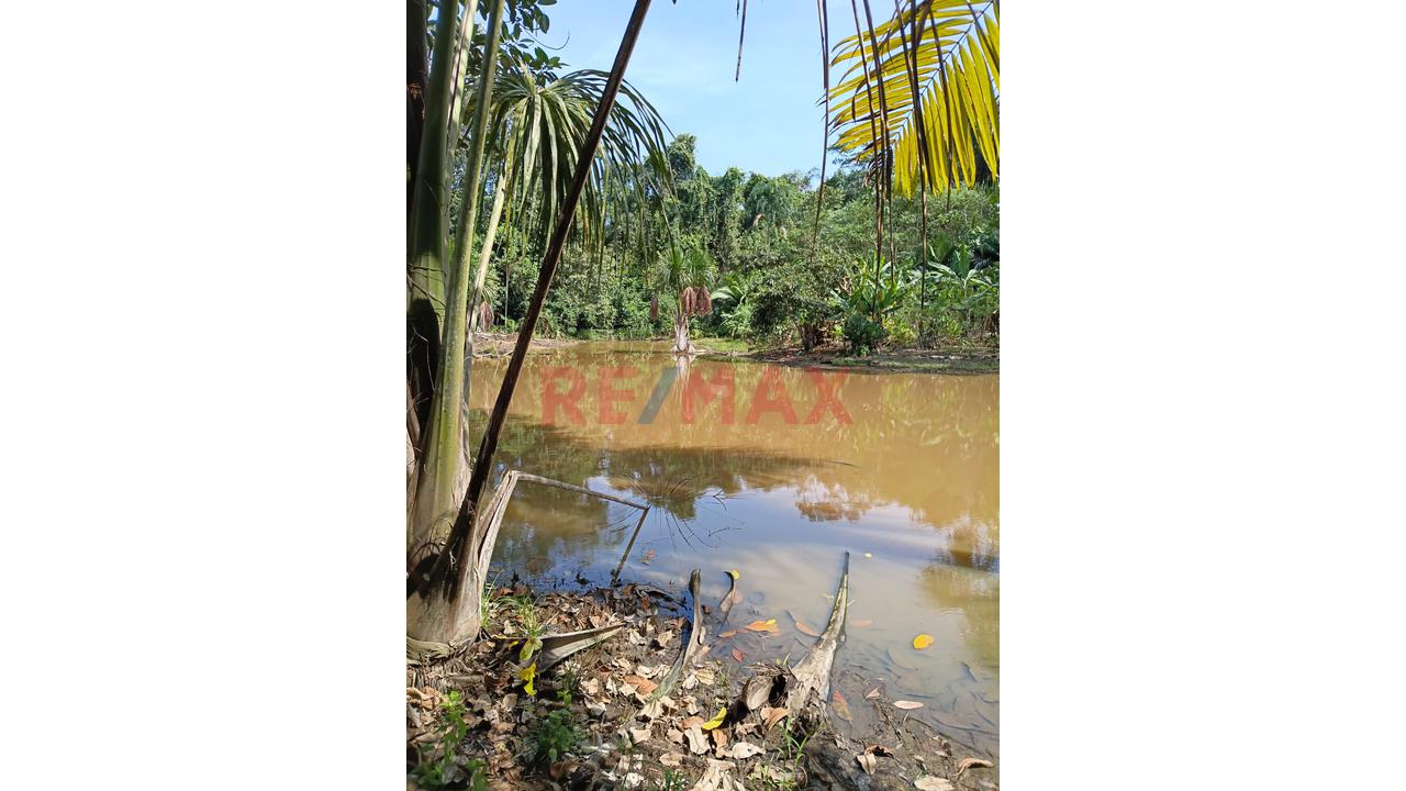 “¡Oportunidad De Inversión! 9.75 Ha Con Quebrada Natural En Iquitos–Nauta” - 18