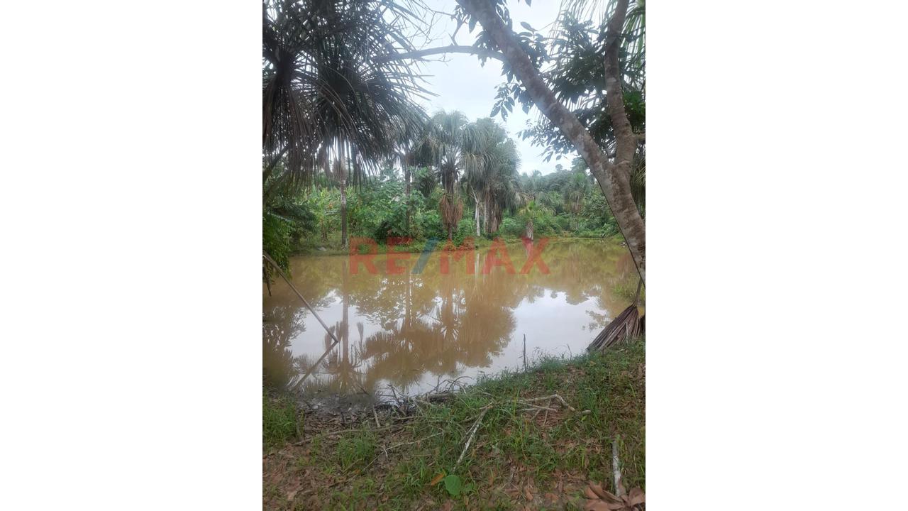 “¡Oportunidad De Inversión! 9.75 Ha Con Quebrada Natural En Iquitos–Nauta” - 4