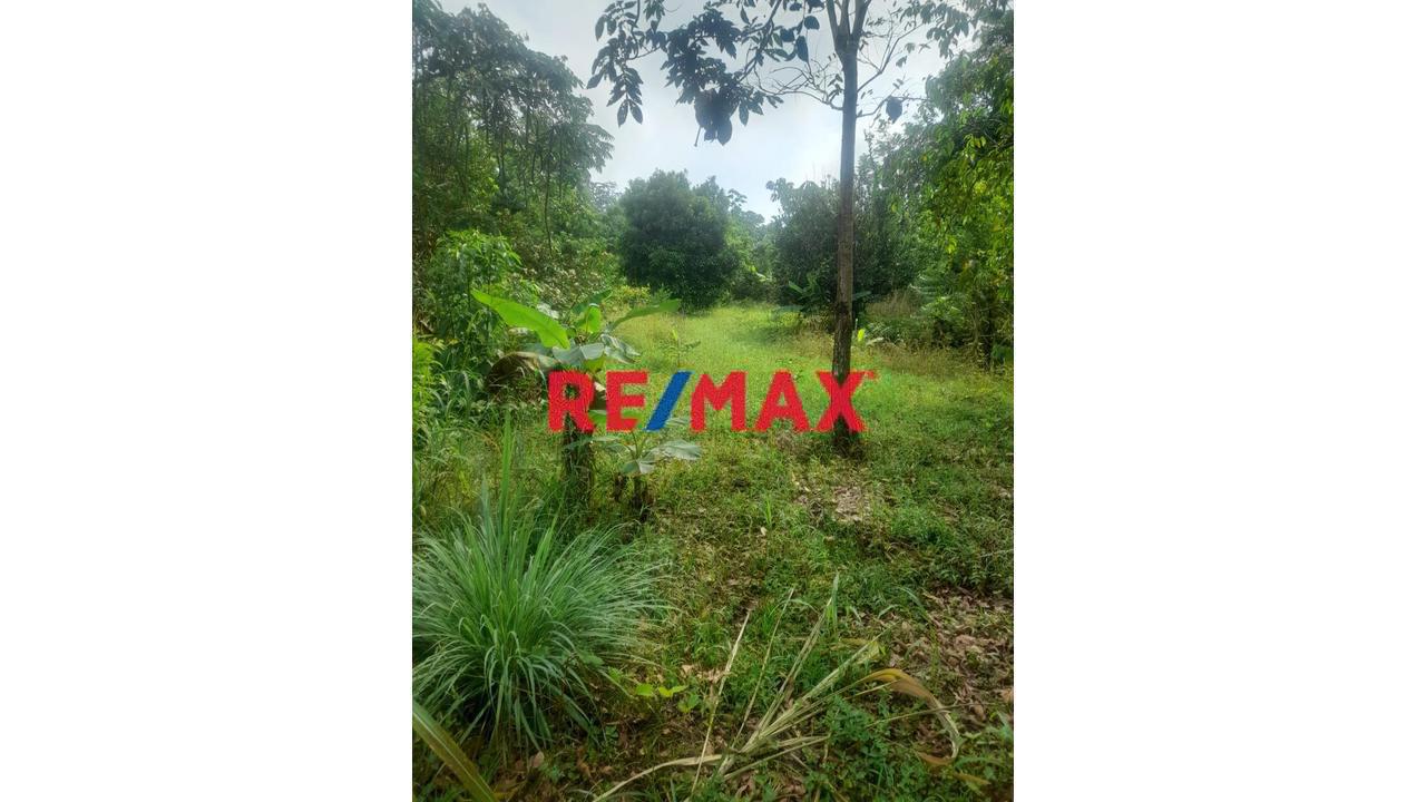 “¡Oportunidad De Inversión! 9.75 Ha Con Quebrada Natural En Iquitos–Nauta” - 1