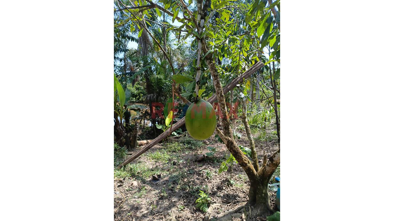 “¡Oportunidad De Inversión! 9.75 Ha Con Quebrada Natural En Iquitos–Nauta” - 7
