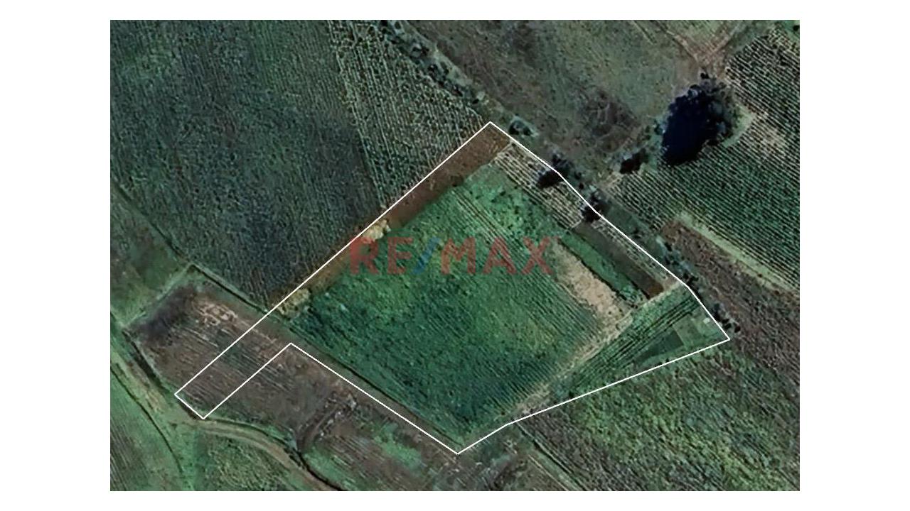 Venta De Terreno En San Jerónimo - Hyo - 1