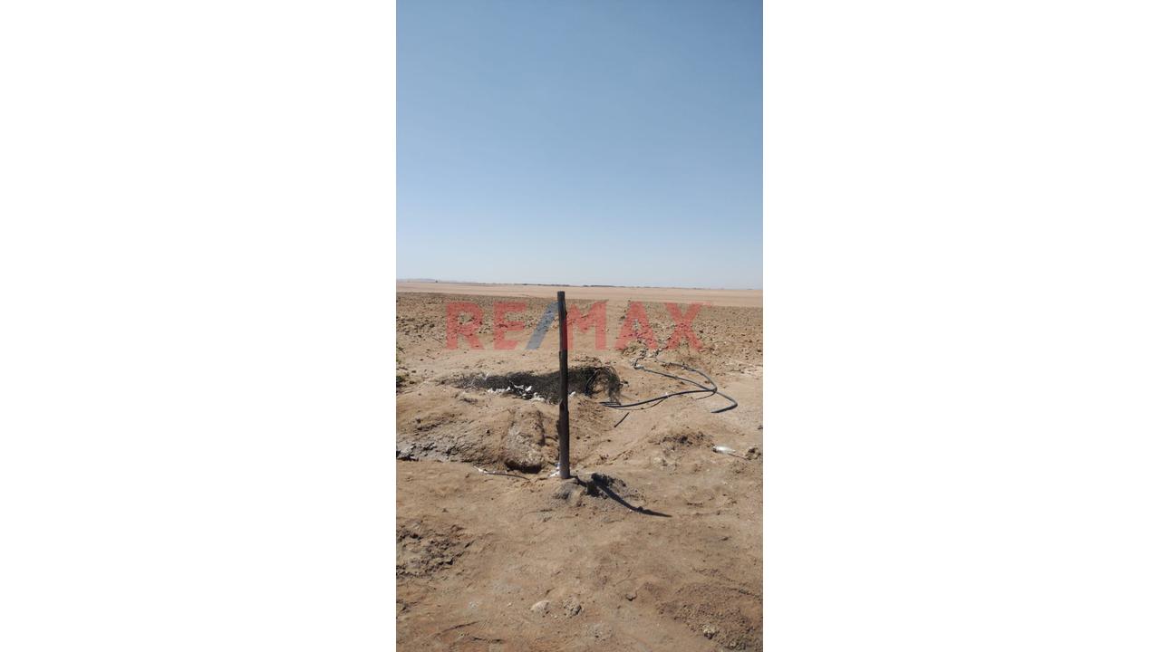 Terreno Agrícola En Venta – San Isidro, La Joya 🌱 - 5