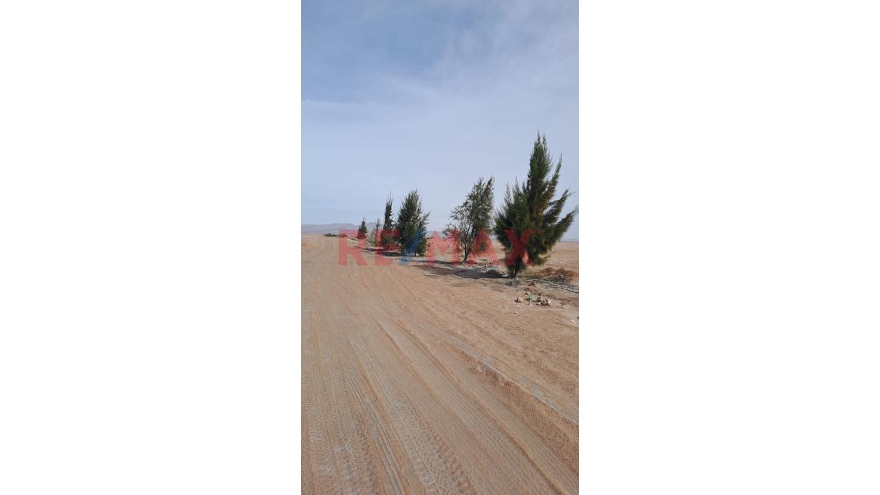 Terreno Agrícola En Venta – San Isidro, La Joya 🌱 - 2