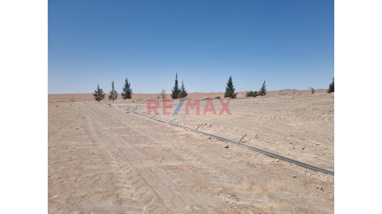 Terreno Agrícola En Venta – San Isidro, La Joya 🌱 - 7