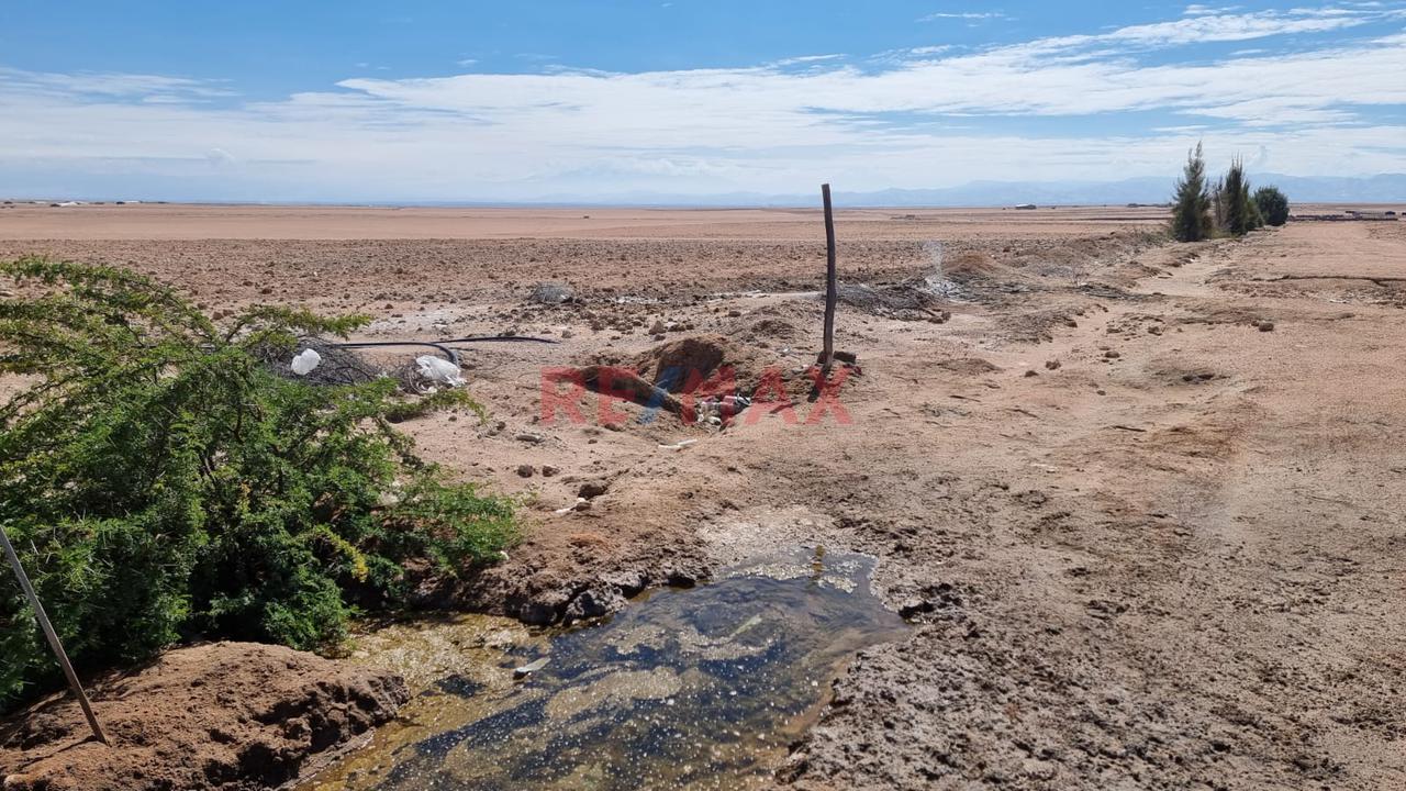 Terreno Agrícola En Venta – San Isidro, La Joya 🌱 - 1