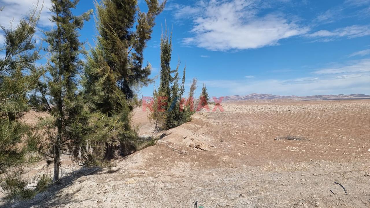 Terreno Agrícola En Venta – San Isidro, La Joya 🌱 - 6