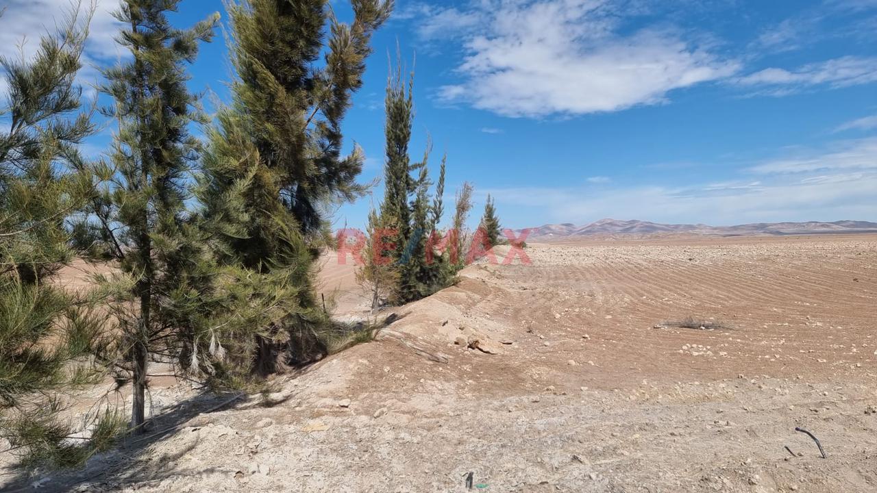 Terreno Agrícola En Venta – San Isidro, La Joya 🌱 - 6