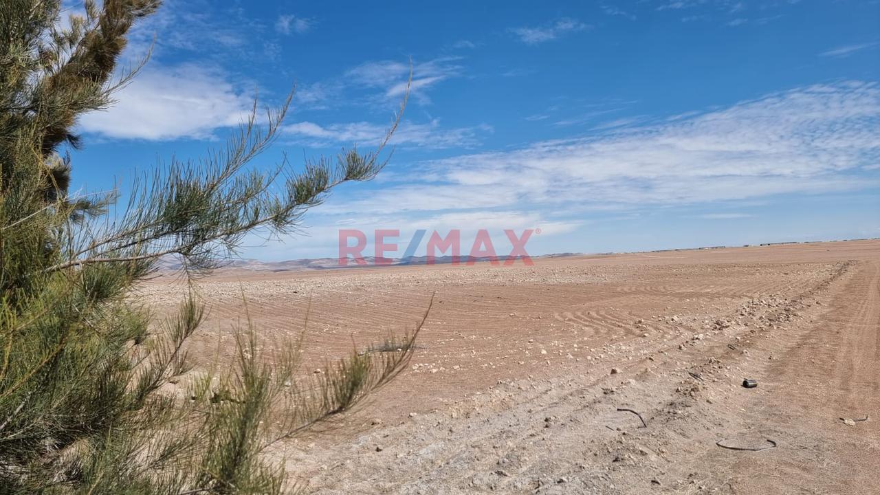 Terreno Agrícola En Venta – San Isidro, La Joya 🌱 - 2