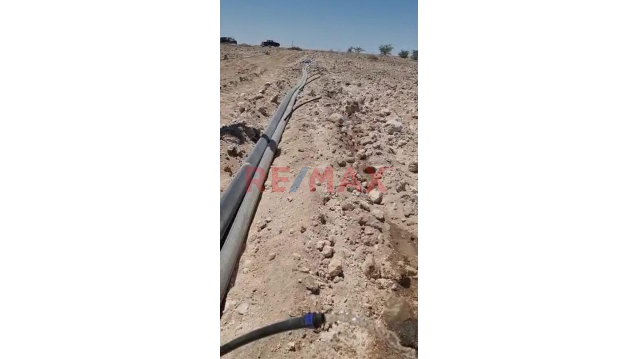 Terreno Agrícola En Venta – San Isidro, La Joya 🌱 - 12