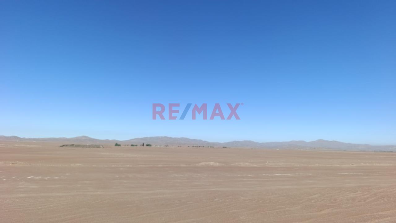 Terreno Agrícola En Venta – San Isidro, La Joya 🌱 - 13