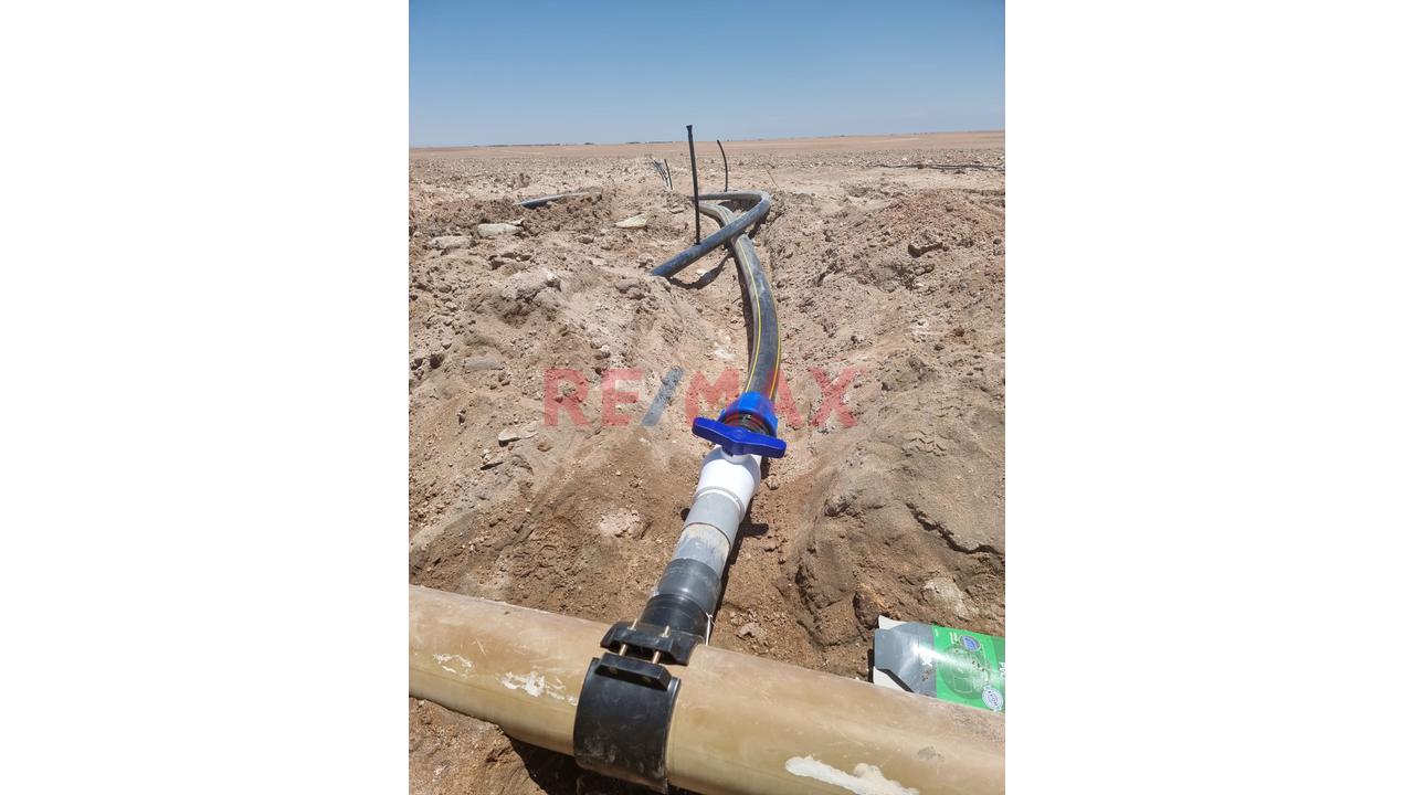 Terreno Agrícola En Venta – San Isidro, La Joya 🌱 - 1