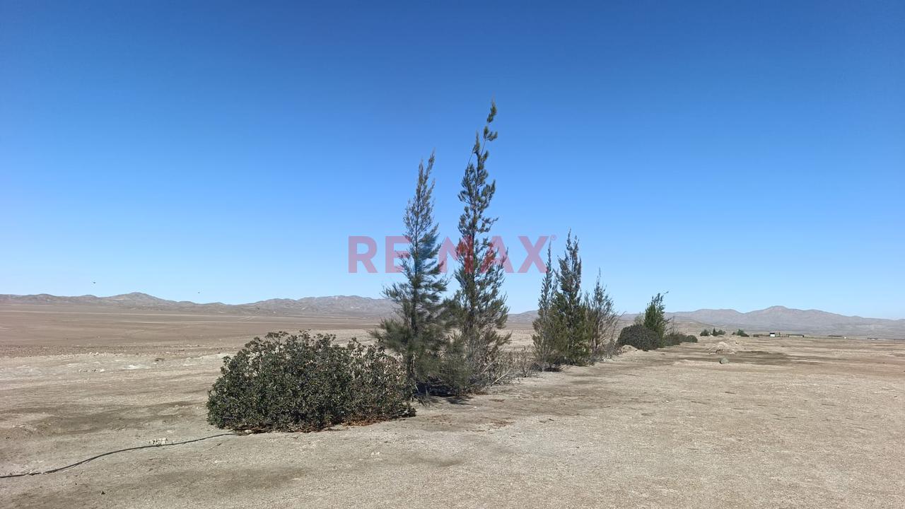 Terreno Agrícola En Venta – San Isidro, La Joya 🌱 - 14