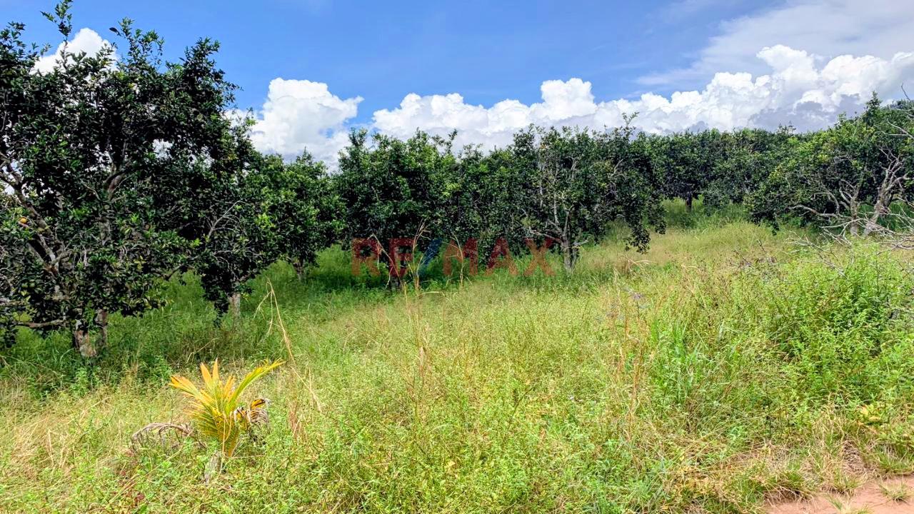 Vendo Terreno Extenso En Pichanaqui - 3