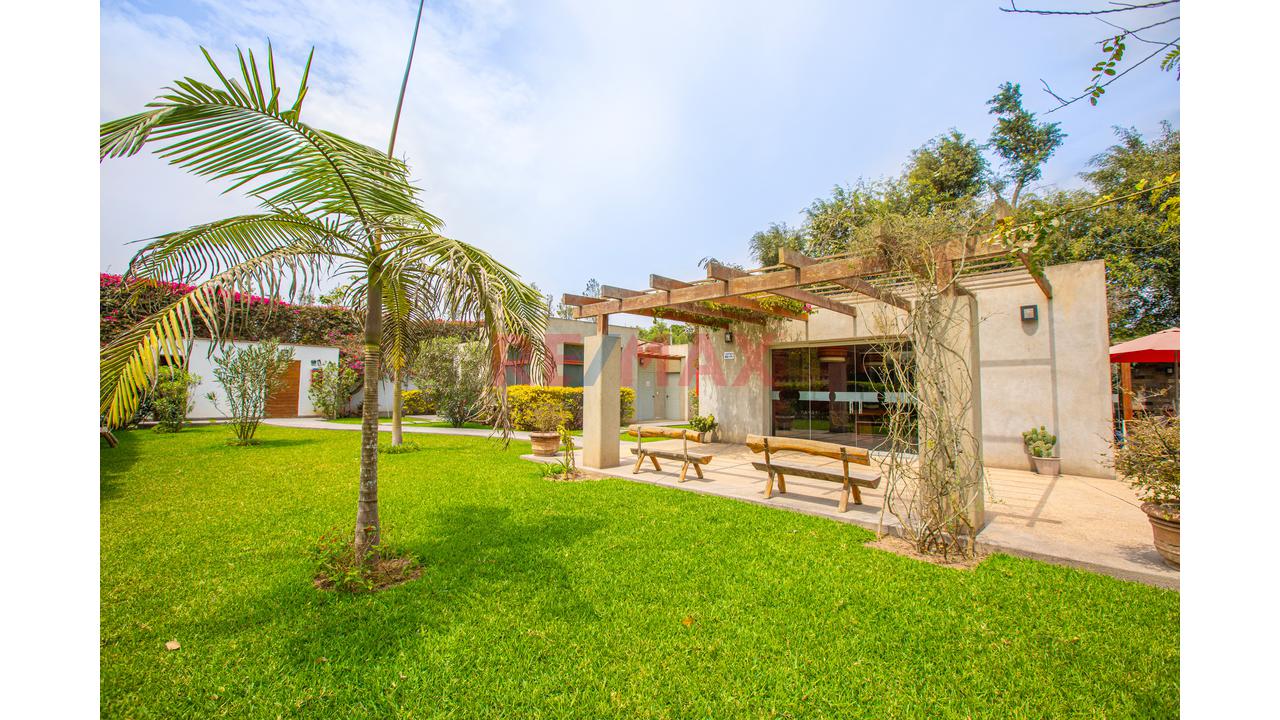 15847 M² En Pachacámac ¿Qué Harías Con Ellos? - 3