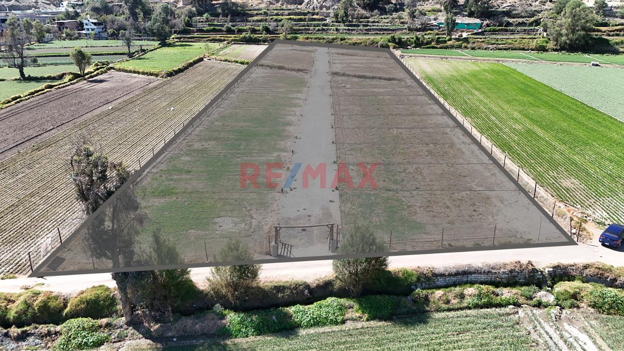 Se Vende Terrenos Desde 233 Mยฒ En Proyecto Tiabaya - 2