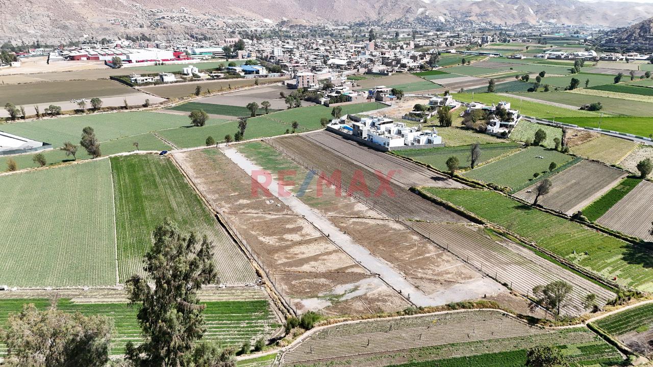 Se Vende Terrenos Desde 233 Mยฒ En Proyecto Tiabaya - 4