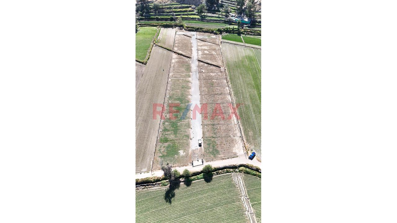 Se Vende Terrenos Desde 233 Mยฒ En Proyecto Tiabaya - 3