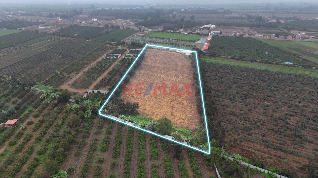 Terreno De 24,519 M² En Huando – Huaral | Ideal Para Inversión Y Desarrollo - 5