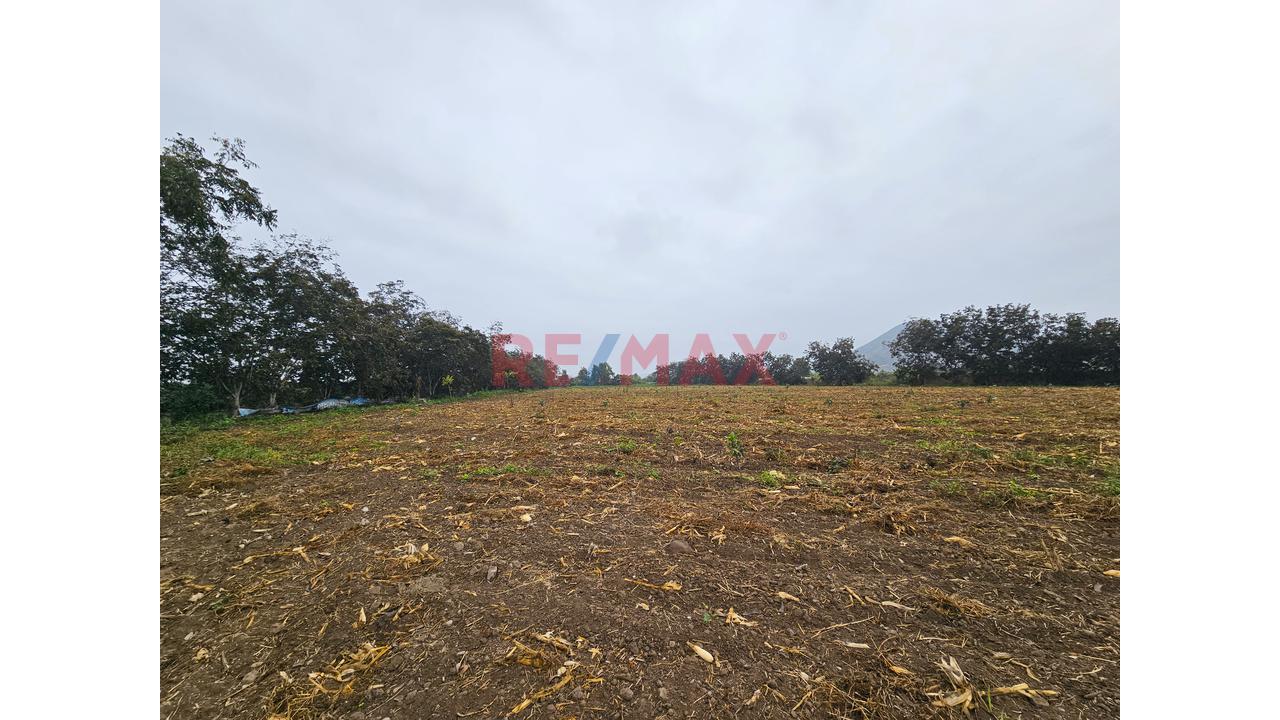 Terreno De 24,519 M² En Huando – Huaral | Ideal Para Inversión Y Desarrollo - 2