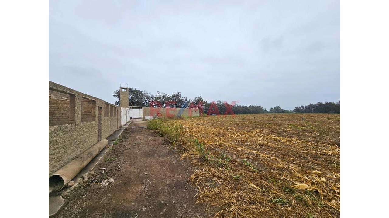 Terreno De 24,519 M² En Huando – Huaral | Ideal Para Inversión Y Desarrollo - 4