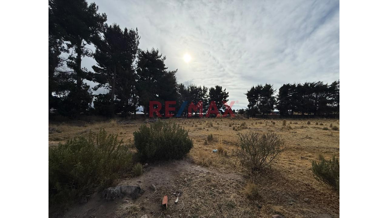 🌿 Terreno Rústico En Venta – Yunguyo - 4