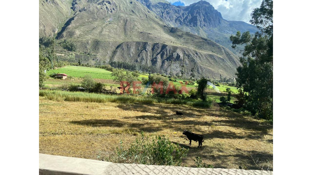 🏔️✨ ¡Terreno En Venta En Ollantaytambo – San Isidro! ✨🏔️ - 6