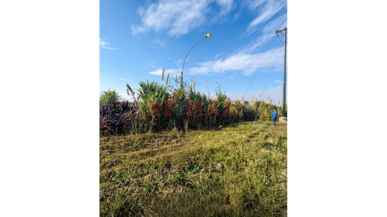 🚀 Venta De Terreno 3,012 M² En Hualmay - Huacho - 10