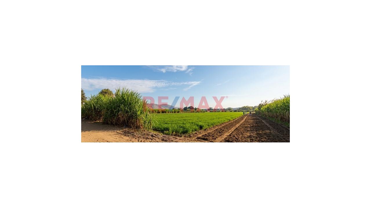 🚀 Venta De Terreno 3,012 M² En Hualmay - Huacho - 6