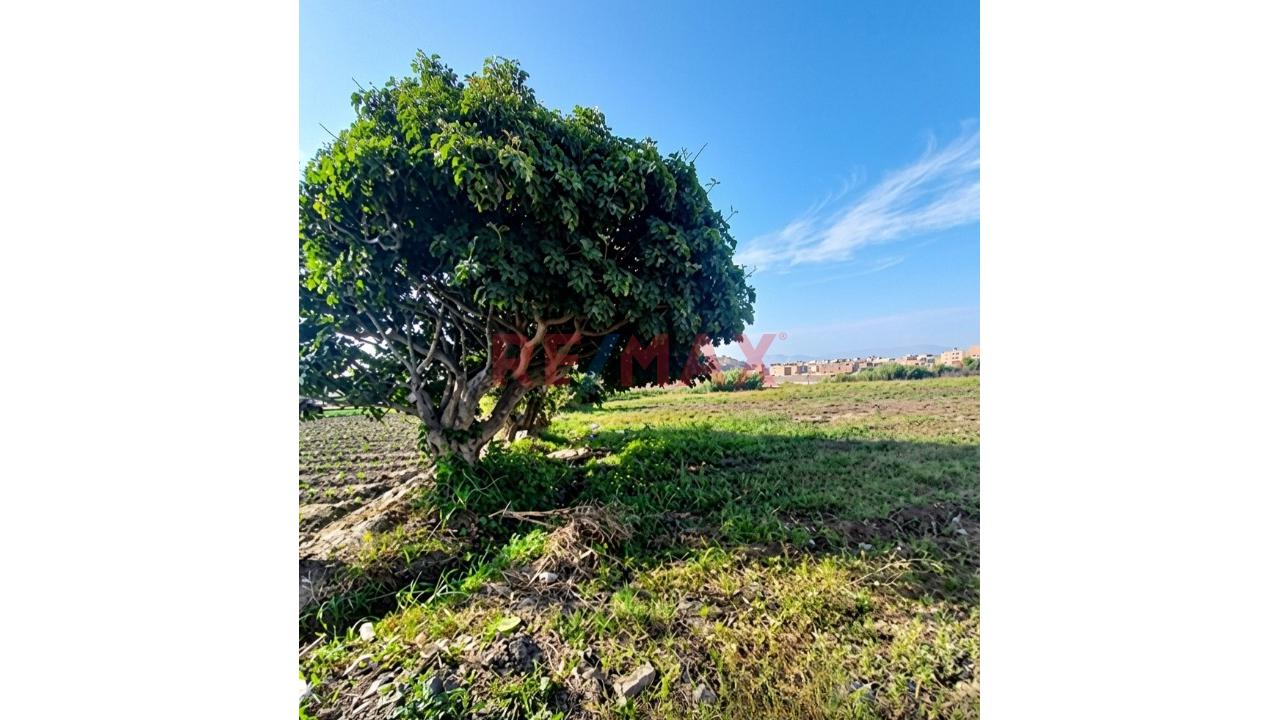🚀 Venta De Terreno 3,012 M² En Hualmay - Huacho - 11