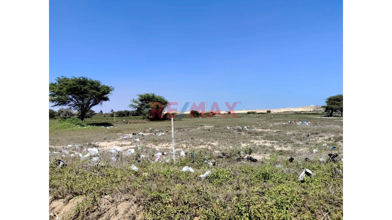 🌱🏡 ¡Terreno De 1 Hectárea En Venta – Pampas De Pimentel! 🏡🌱 — foto 6