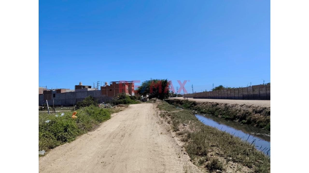 🌱🏡 ¡Terreno De 1 Hectárea En Venta – Pampas De Pimentel! 🏡🌱 — foto 4