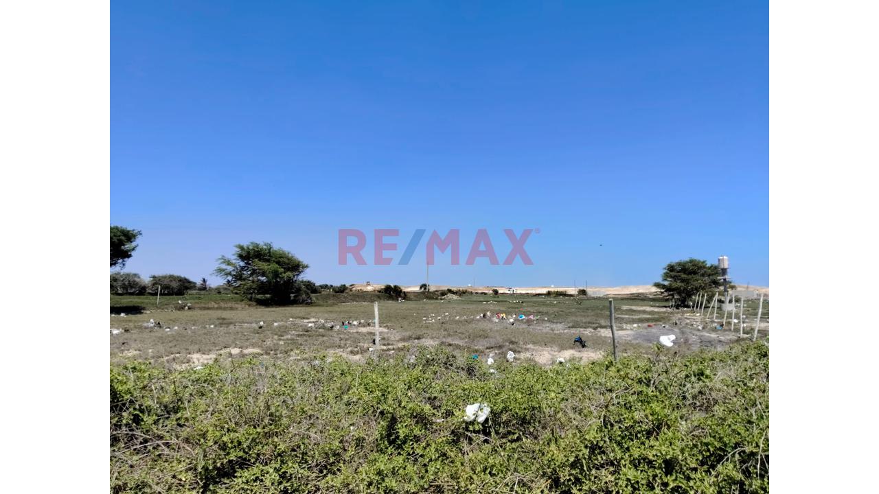 🌱🏡 ¡Terreno De 1 Hectárea En Venta – Pampas De Pimentel! 🏡🌱 — foto 2