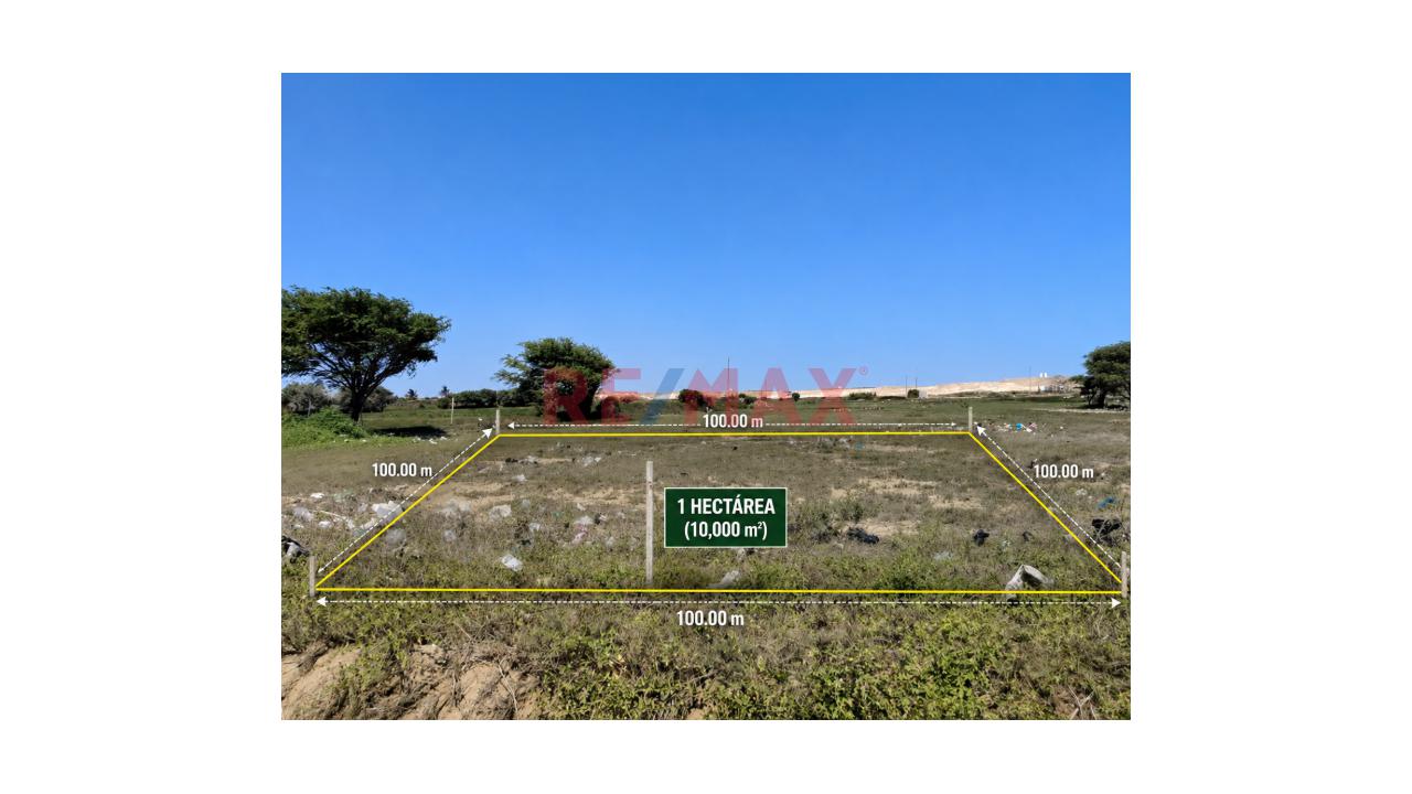 🌱🏡 ¡Terreno De 1 Hectárea En Venta – Pampas De Pimentel! 🏡🌱