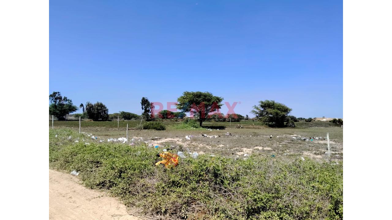 🌱🏡 ¡Terreno De 1 Hectárea En Venta – Pampas De Pimentel! 🏡🌱 — foto 5