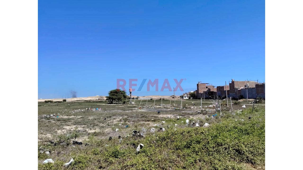 🌱🏡 ¡Terreno De 1 Hectárea En Venta – Pampas De Pimentel! 🏡🌱 — foto 7