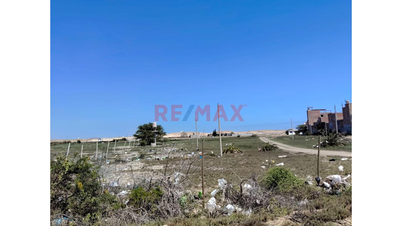 🌱🏡 ¡Terreno De 1 Hectárea En Venta – Pampas De Pimentel! 🏡🌱 — foto 3