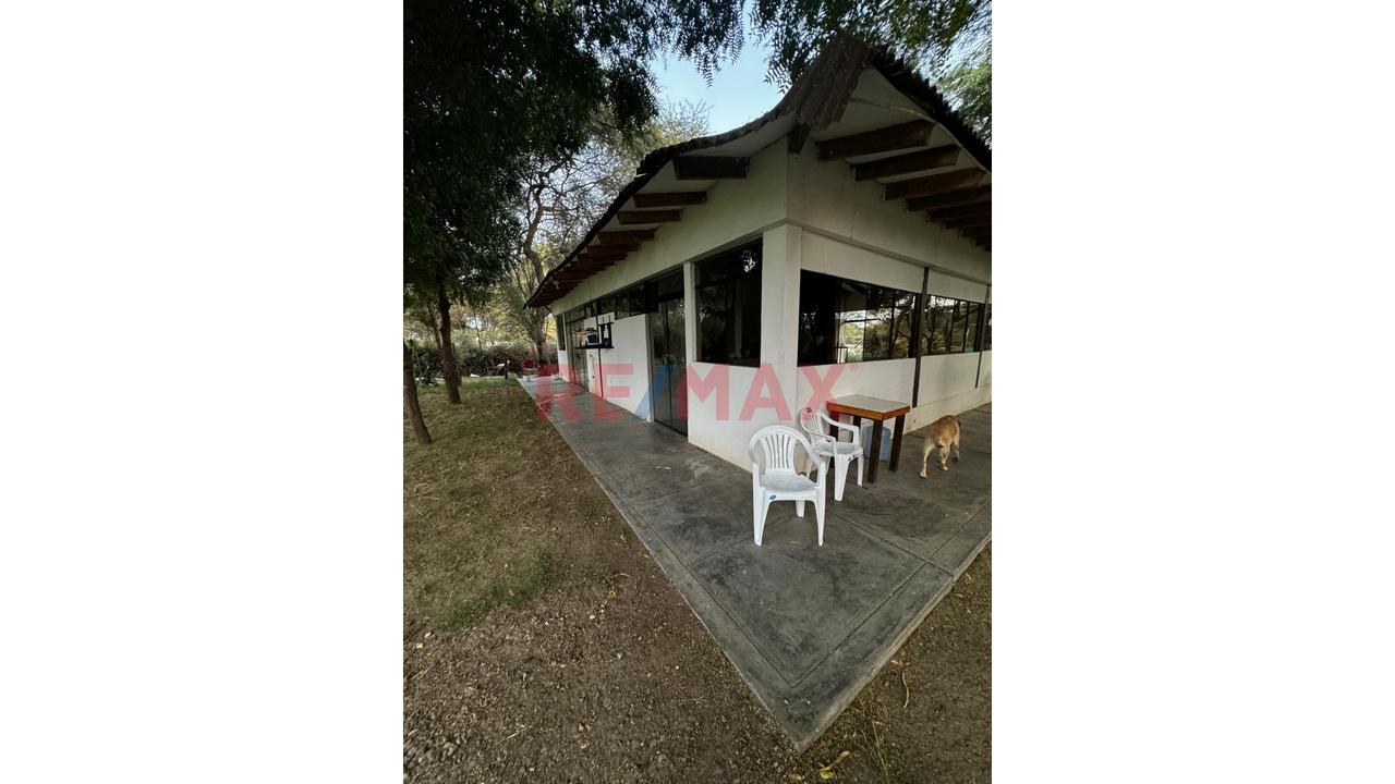 🌳 Amplio Terreno En Ejidos – 3,888 M² | Ideal Para Restaurante Campestre - 2