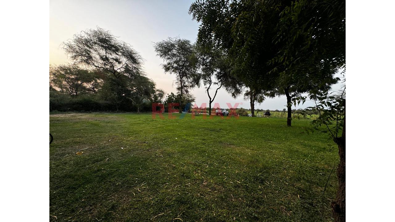 🌳 Amplio Terreno En Ejidos – 3,888 M² | Ideal Para Restaurante Campestre - 6