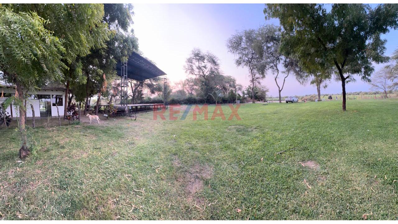 🌳 Amplio Terreno En Ejidos – 3,888 M² | Ideal Para Restaurante Campestre - 4