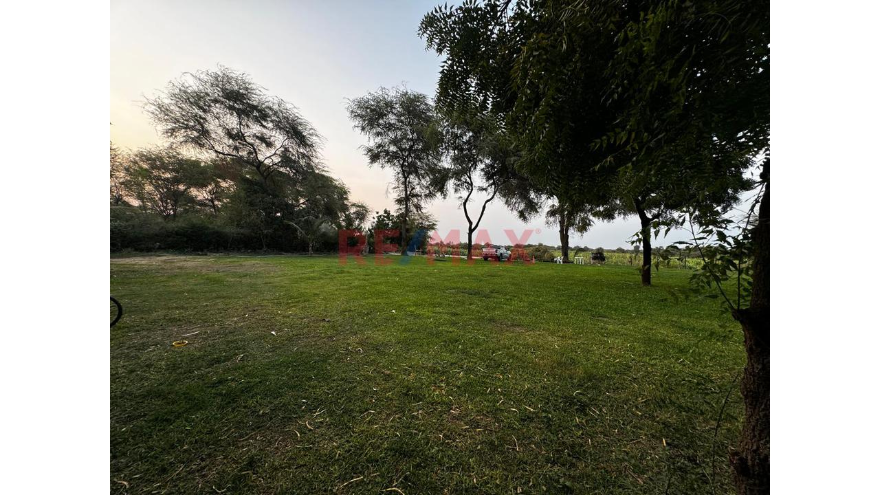 🌳 Amplio Terreno En Ejidos – 3,888 M² | Ideal Para Restaurante Campestre - 3